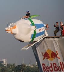 Red Bull Flugtag Event