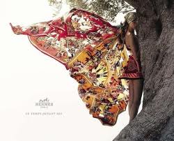 Faites nous rever Hermes papillon zoom in