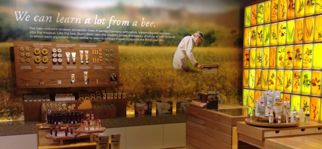 bb-we-can-lean-from-bees-store